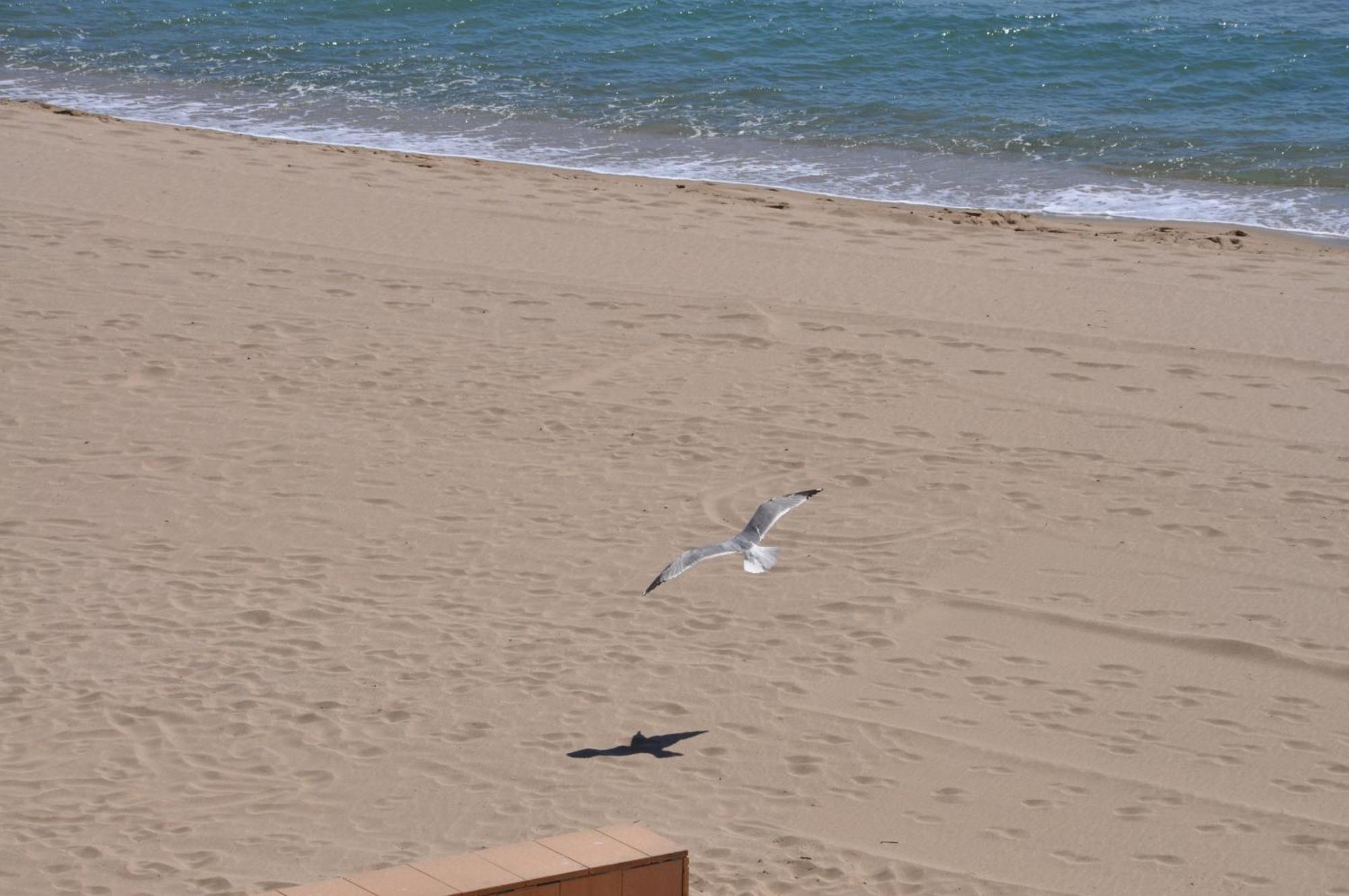 1236 Carla Mar 50m Playa - Apivend Immo * Roses